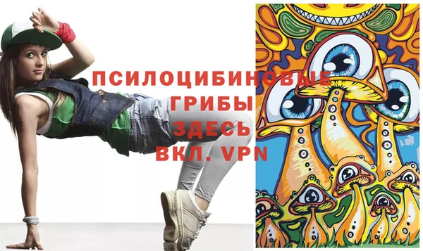 хмурый Белоозёрский