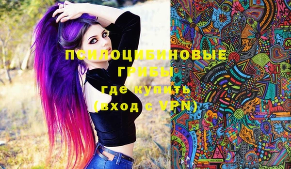 таблы Белокуриха