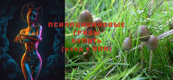 MDMA Premium VHQ Беломорск