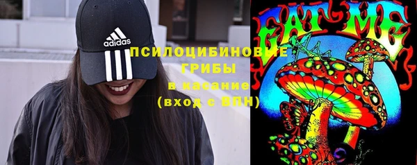 хмурый Белоозёрский